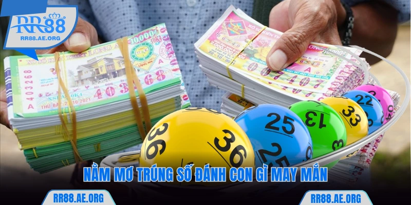 Nằm mơ trúng số RR88 đánh con gì may mắn